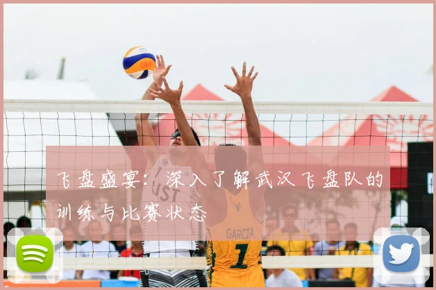 飞盘盛宴:深入了解武汉飞盘队的训练与比赛状态