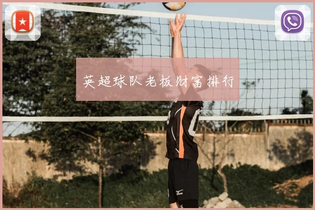 英超球队老板财富排行