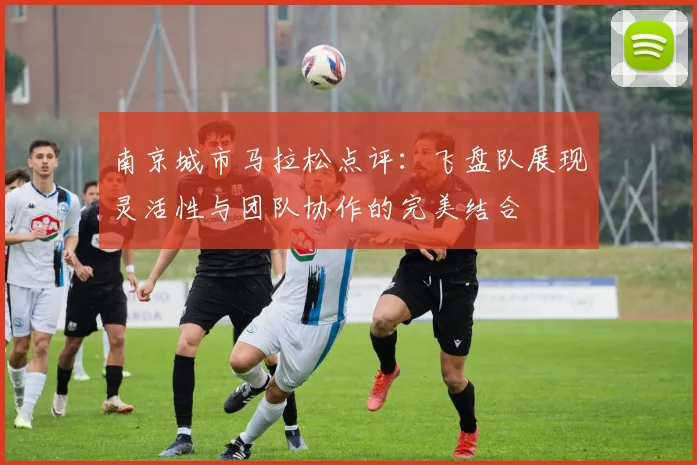 南京城市马拉松点评:飞盘队展现灵活性与团队协作的完美结合
