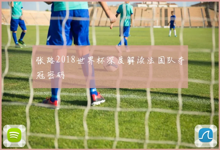 张路2018世界杯深度解读法国队夺冠密码