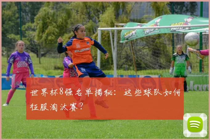 世界杯8强名单揭秘:这些球队如何征服淘汰赛?