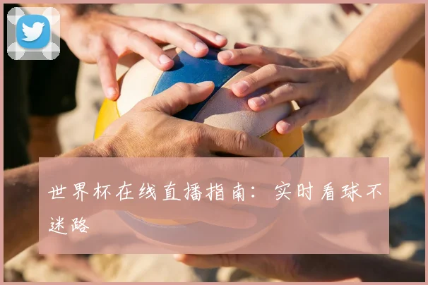 世界杯在线直播指南：实时看球不迷路