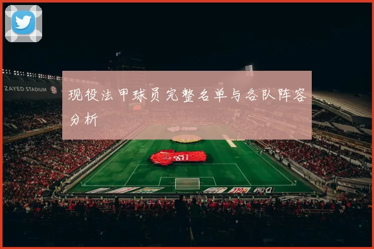 现役法甲球员完整名单与各队阵容分析