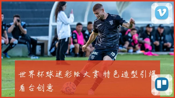 世界杯球迷彩绘大赏 特色造型引爆看台创意