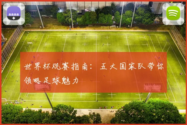 世界杯观赛指南：五大国家队带你领略足球魅力