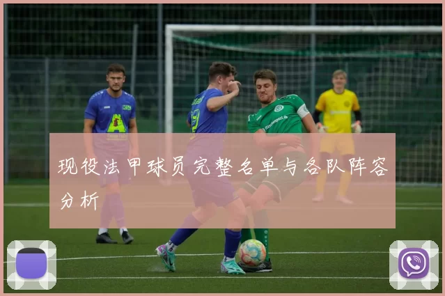 现役法甲球员完整名单与各队阵容分析