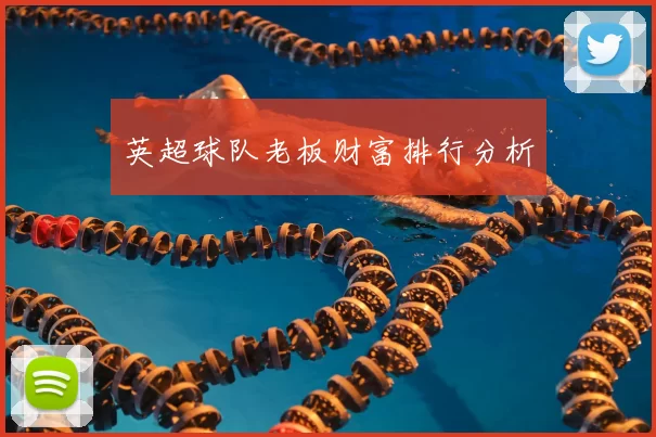 英超球队老板财富排行分析