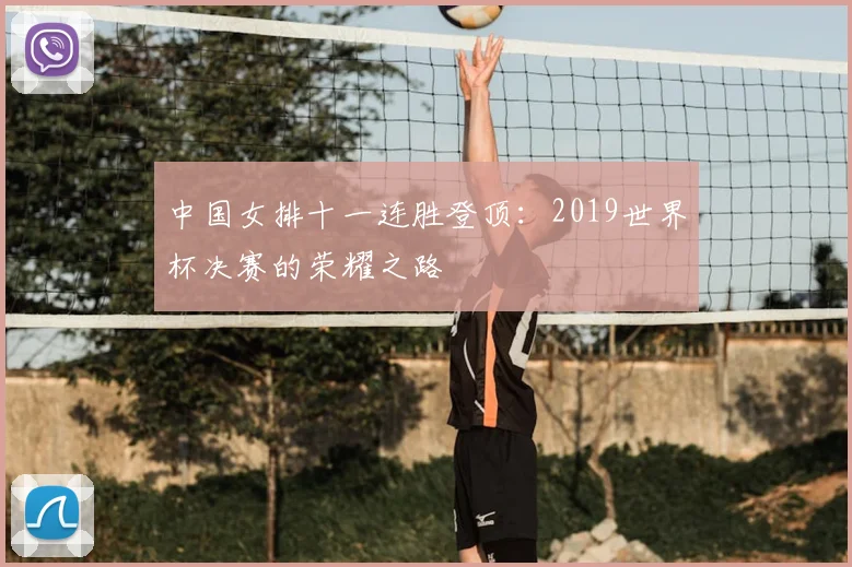 中国女排十一连胜登顶:2019世界杯决赛的荣耀之路